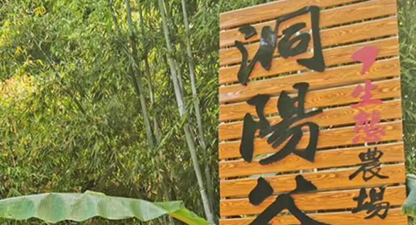广有合页2019踏春拓展--经历中成长，成长中经历?