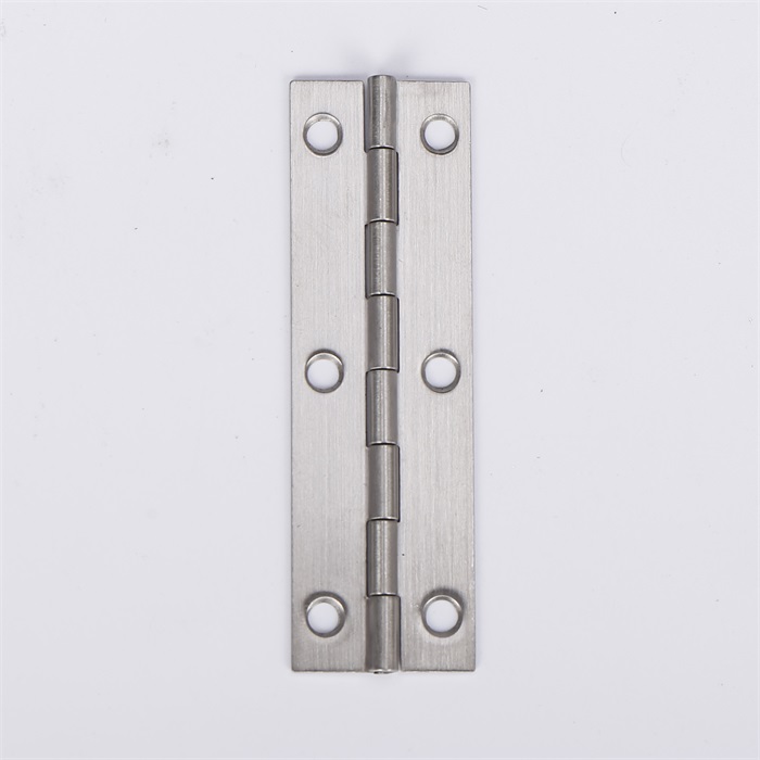 Stainless steel hinge
