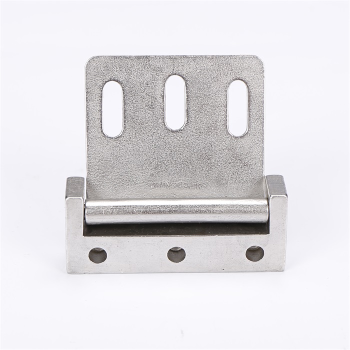 Check door hinge